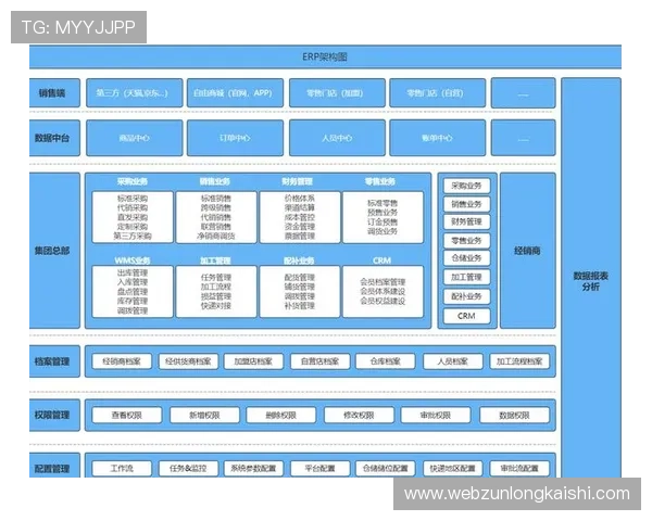 尊龙平台软件的技术架构与后台支持系统分析