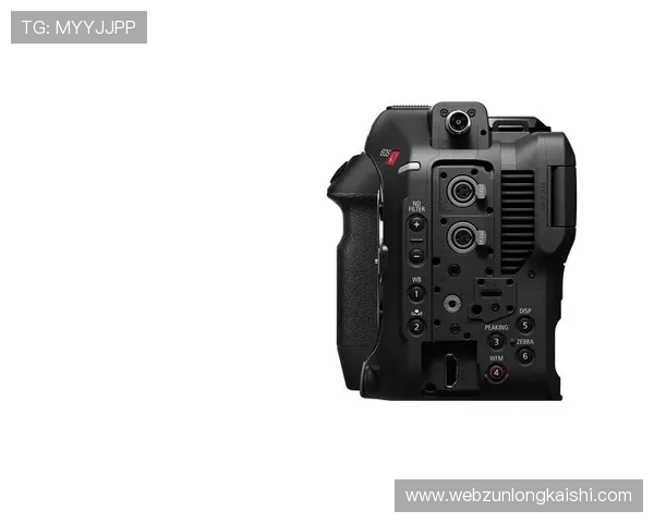 尊龙z6.com旗舰厅登录线路常见问题与解决方案详解帮助新手玩家轻松应对登录难题 尊龙z6.com旗舰厅登录线路常见问题与解决方案详解帮助新手玩家轻松应对登录难题