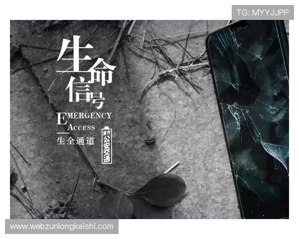 尊龙人生就是博 备用:利用游戏思维规划人生未来的实用指南 尊龙人生就是博 备用:利用游戏思维规划人生未来的实用指南